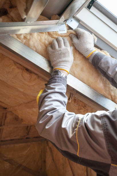 Best Radiant Barrier Insulation  in Universal City, TX