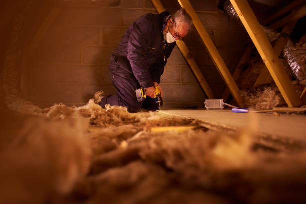 Types of Insulation We Offer in Universal City, TX